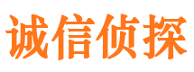 锦江调查公司